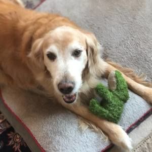 Meet your Posher, Ëmmä